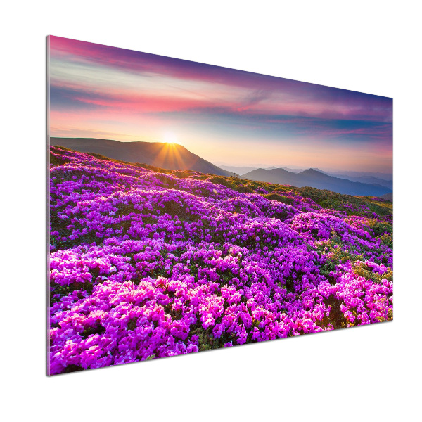 Panel do kuchni Kwiaty w górach