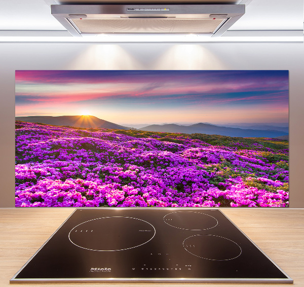 Panel do kuchni Kwiaty w górach