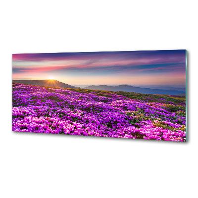 Keuken achterwand Bloemen in de bergen