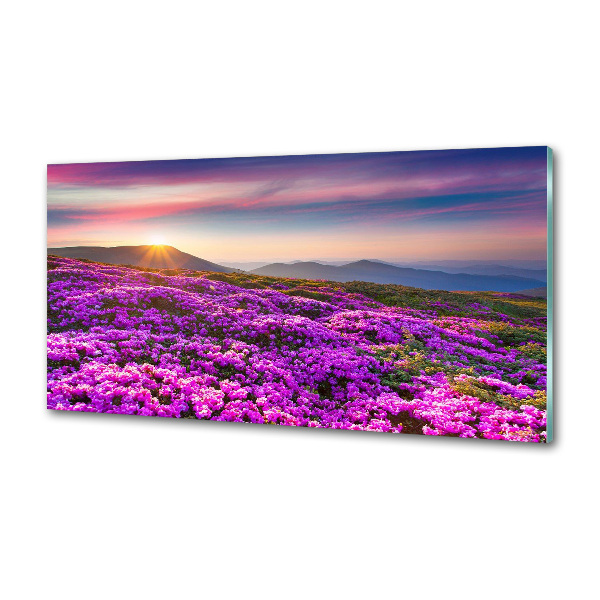 Keuken achterwand Bloemen in de bergen