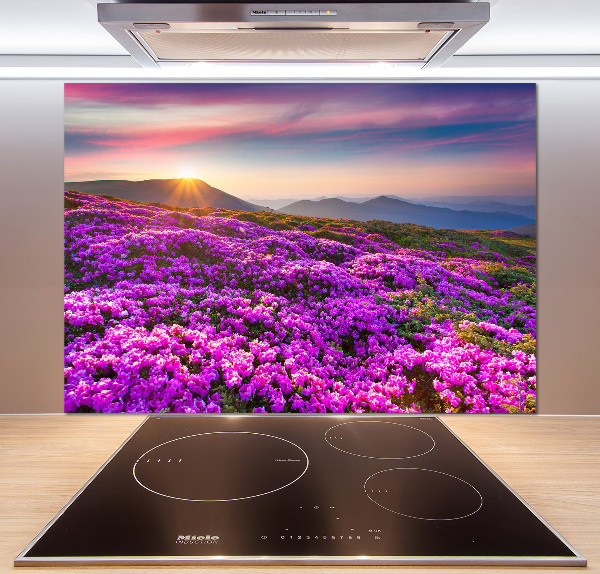 Keuken achterwand Bloemen in de bergen