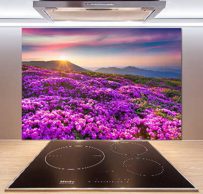 Keuken achterwand Bloemen in de bergen