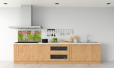 Spatplaat keuken Kruiden aan een touwtje