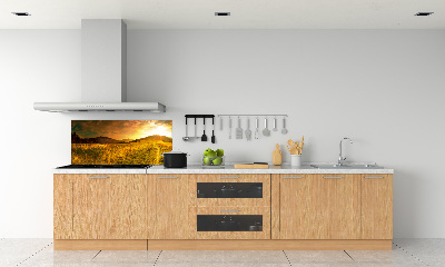 Glazen achterwand keuken Panorama van het Tatragebergte