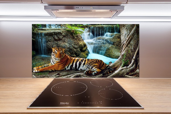 Spatscherm keuken Tijgerwaterval