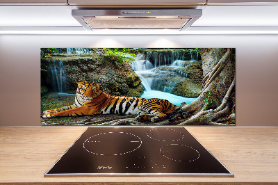 Spatscherm keuken Tijgerwaterval