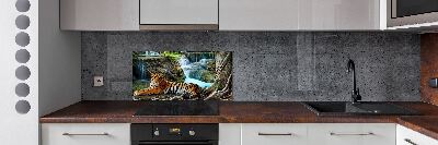 Spatscherm keuken Tijgerwaterval
