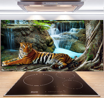 Spatscherm keuken Tijgerwaterval