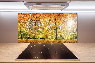 Panel dekor szkło Las jesienią