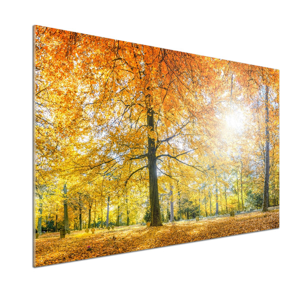 Panel dekor szkło Las jesienią