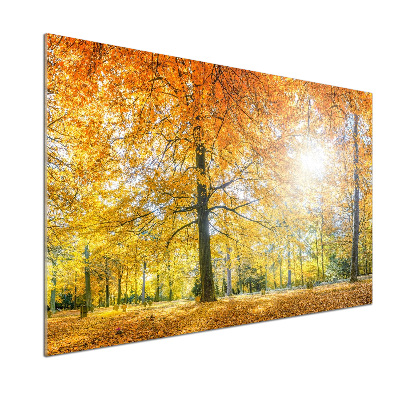 Achterwand keuken Bos in de herfst