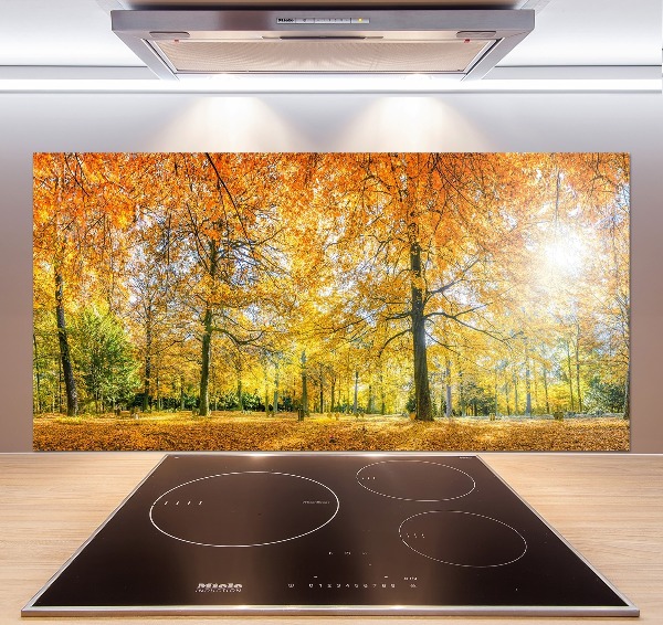 Panel dekor szkło Las jesienią