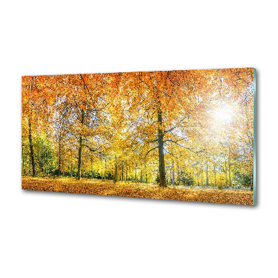 Achterwand keuken Bos in de herfst