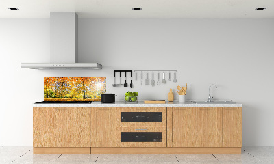 Achterwand keuken Bos in de herfst
