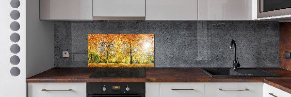 Achterwand keuken Bos in de herfst