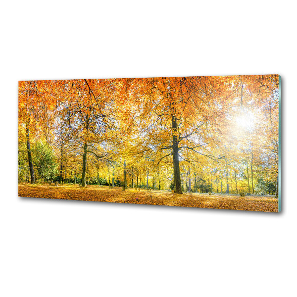 Achterwand keuken Bos in de herfst