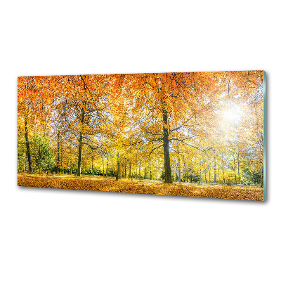 Achterwand keuken Bos in de herfst
