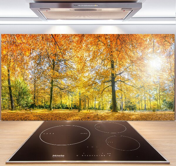 Panel dekor szkło Las jesienią