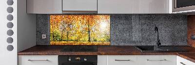 Achterwand keuken Bos in de herfst