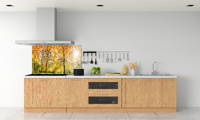 Achterwand keuken Bos in de herfst
