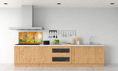 Achterwand keuken Bos in de herfst