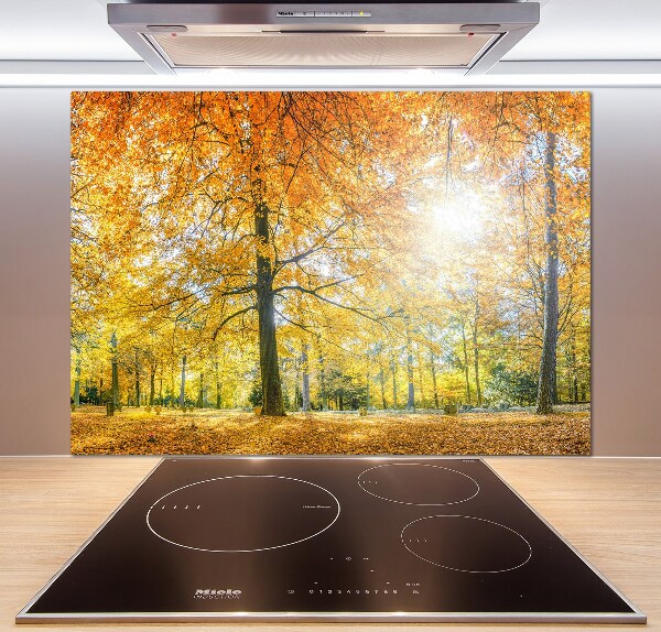 Panel dekor szkło Las jesienią