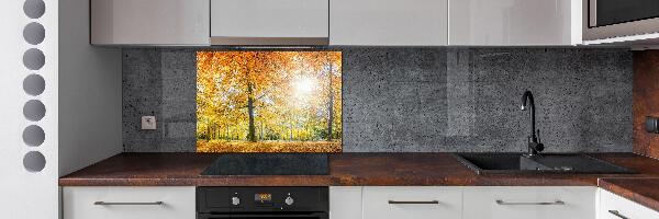 Achterwand keuken Bos in de herfst