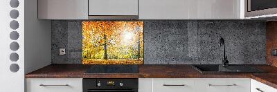 Achterwand keuken Bos in de herfst