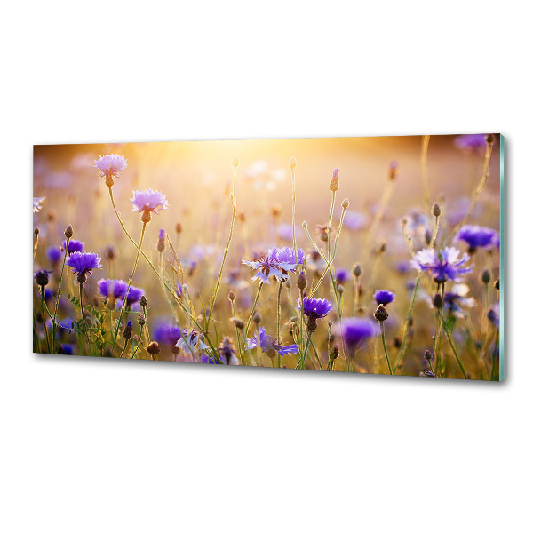 Achterwand keuken Wilde bloemen