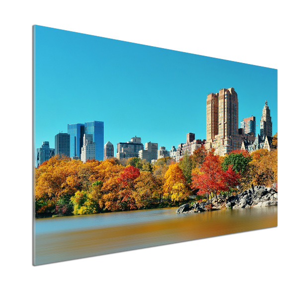 Spatplaat keuken New York in de herfst