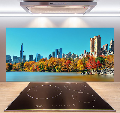 Spatplaat keuken New York in de herfst