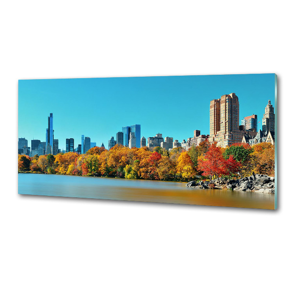 Spatplaat keuken New York in de herfst