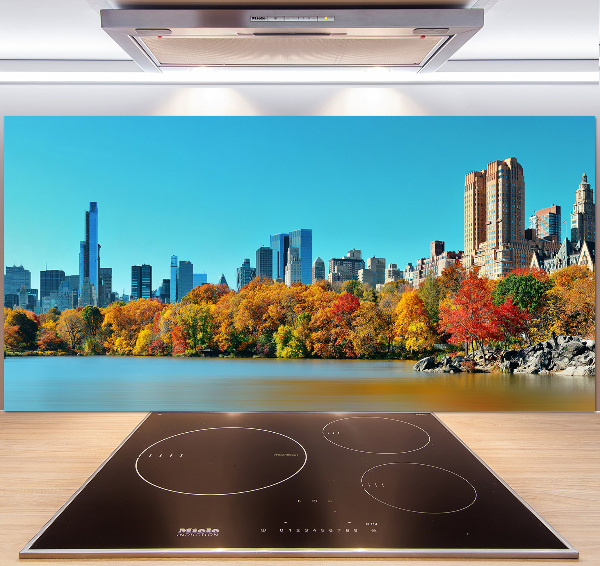 Spatplaat keuken New York in de herfst