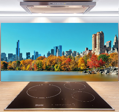 Spatplaat keuken New York in de herfst