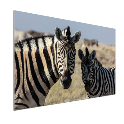 Spatplaat keuken Twee zebra's