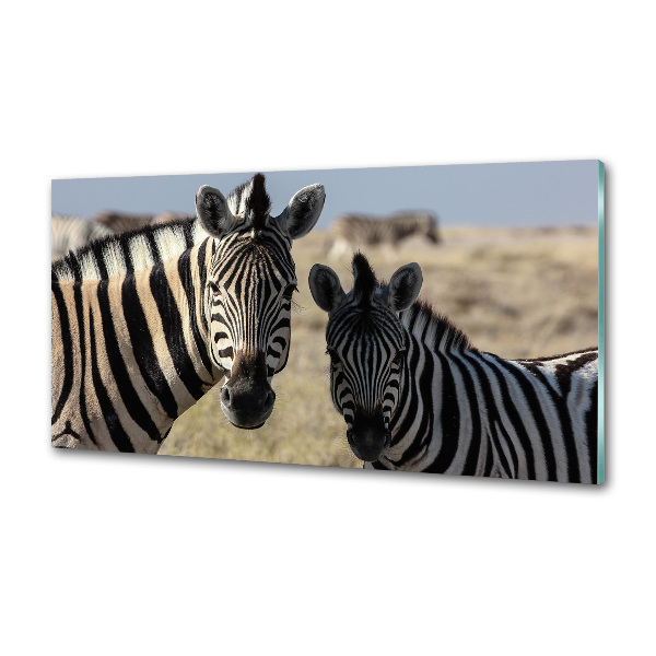 Spatplaat keuken Twee zebra's