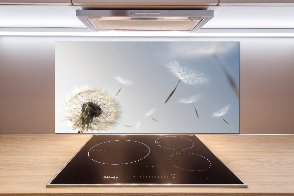 Spatplaat keuken Paardebloem
