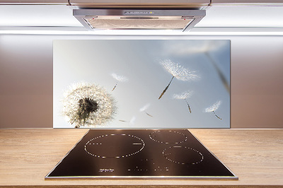 Spatplaat keuken Paardebloem