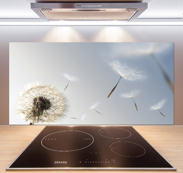 Spatplaat keuken Paardebloem