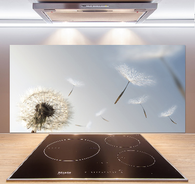 Spatplaat keuken Paardebloem