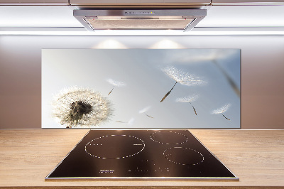 Spatplaat keuken Paardebloem