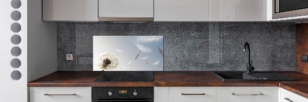 Spatplaat keuken Paardebloem