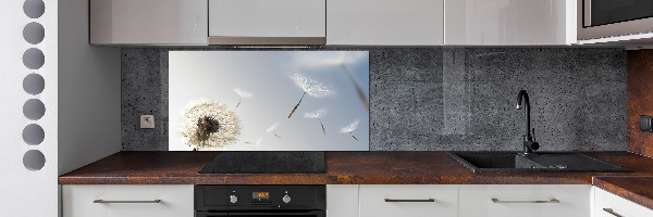 Spatplaat keuken Paardebloem