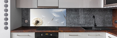 Spatplaat keuken Paardebloem