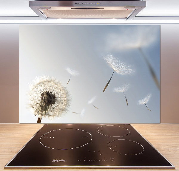 Spatplaat keuken Paardebloem