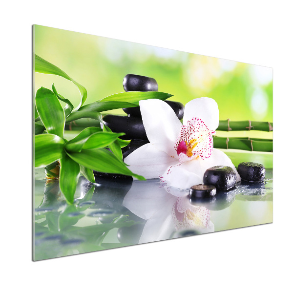 Keuken achterwand Orchidee