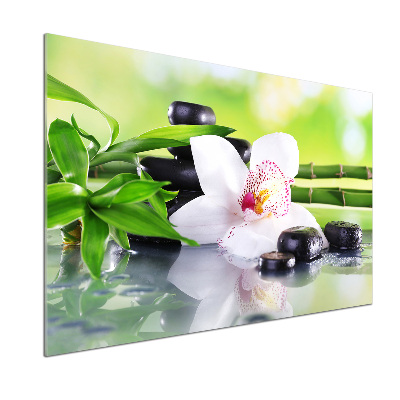 Keuken achterwand Orchidee