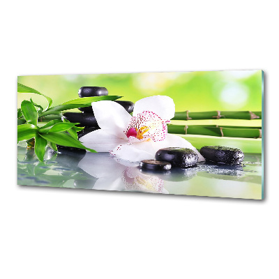 Panel między meble w kuchni Orchidea