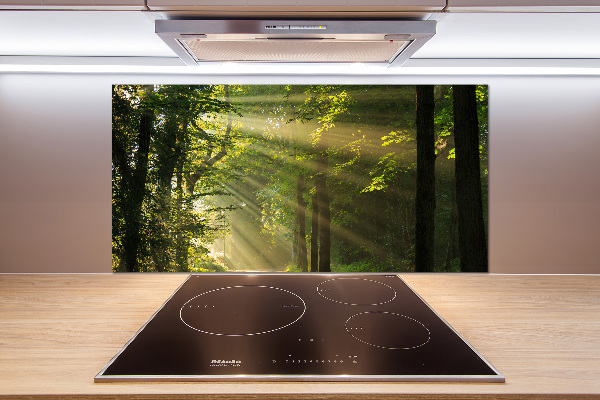 Keuken achterwand Bos in de zon
