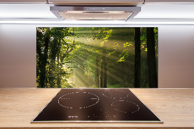 Keuken achterwand Bos in de zon
